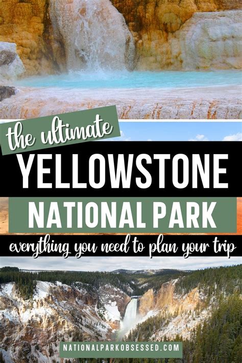 yellowstone national park guide pdf